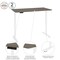 Bestar Bestar Viva 60W x 30D Electric Standing Desk in walnut grey 19867-000035 - alternate 5